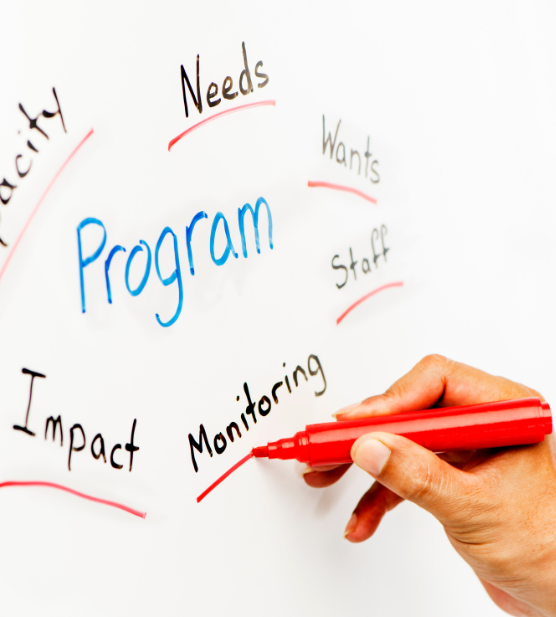Programa del Curso